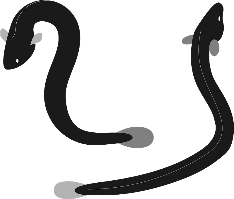 Unagi eels clipart. Free download transparent .PNG Creazilla