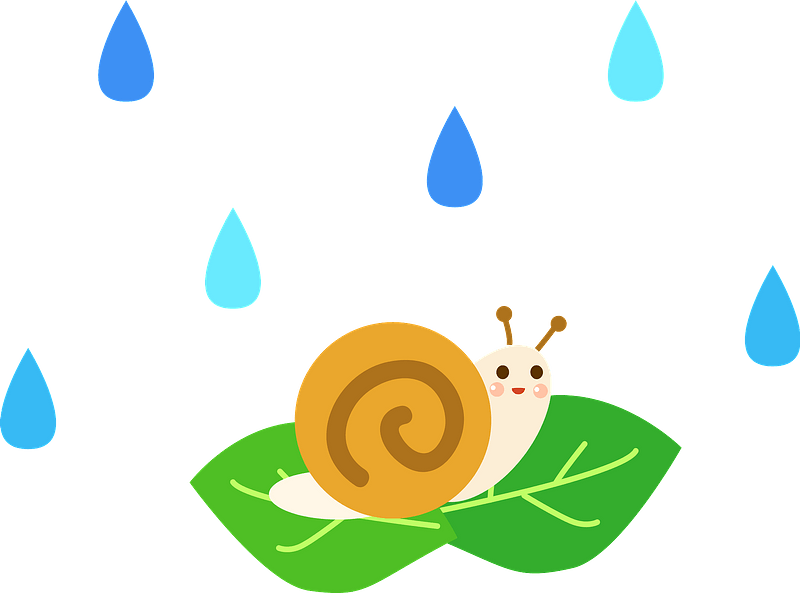 Snail on a leaf in the rain clipart. Free download transparent .PNG