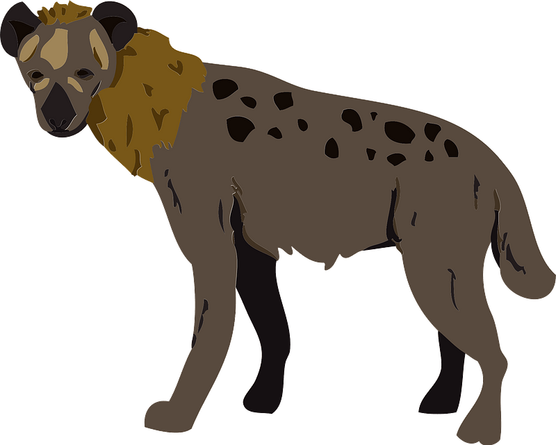 Hyena clipart