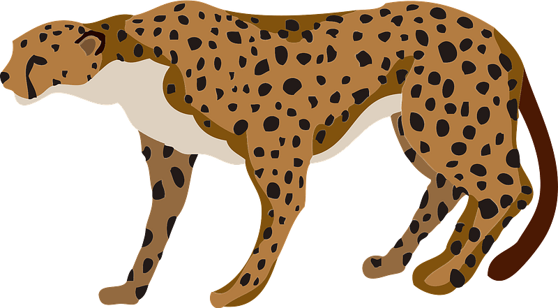 Cheetah animal 클립 아트