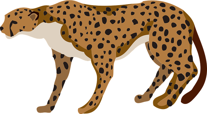 Gepard clipart