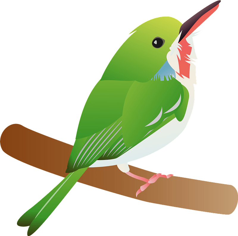 Tody bird perched on a bench clipart. Free download transparent .PNG