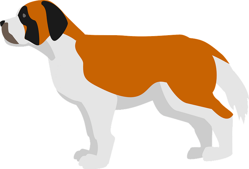 St. Bernard dog clipart. Free download transparent .PNG | Creazilla