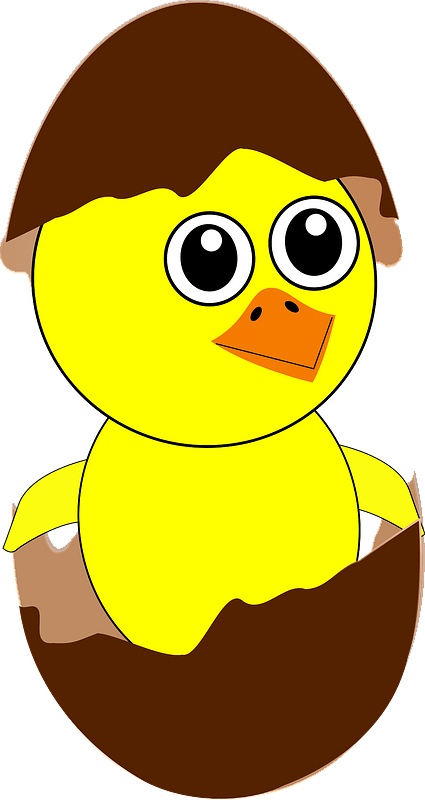 Chick coming out from the egg immagine clipart