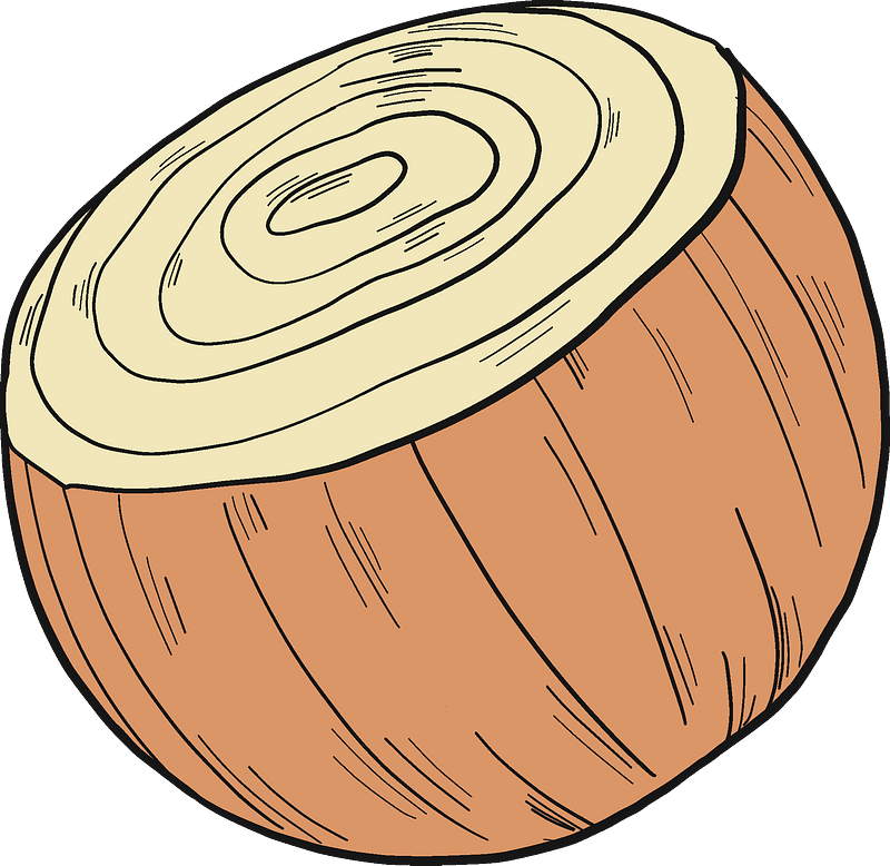 Half onion clipart