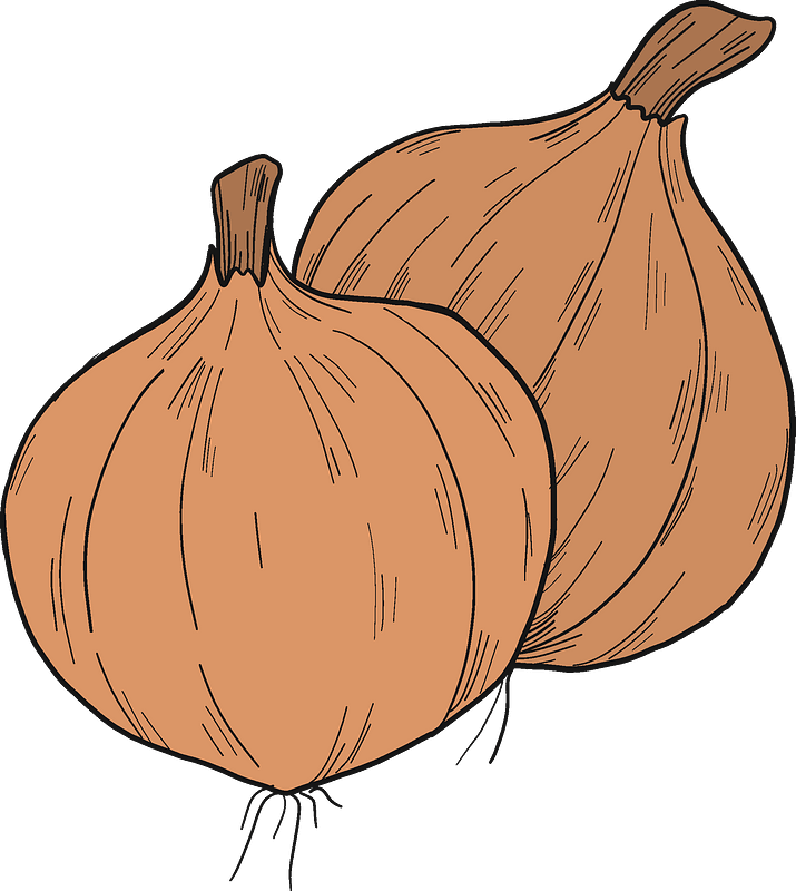 Onions immagine clipart