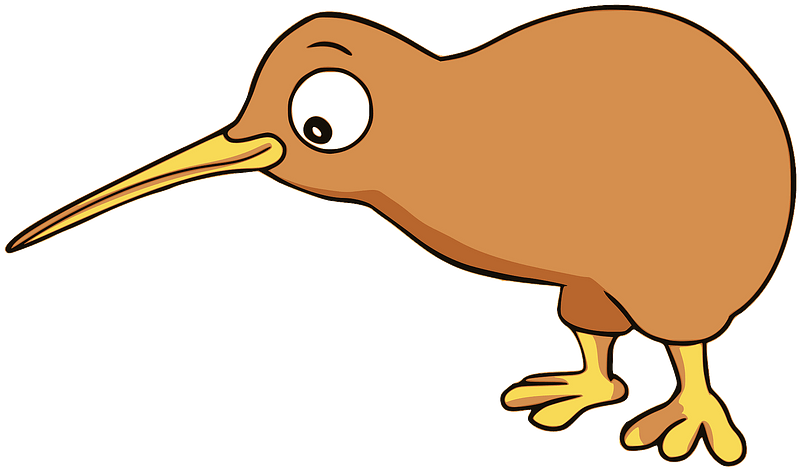 Kiwi bird clipart