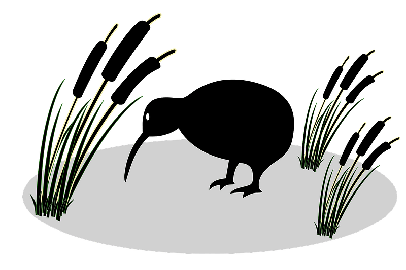 Kiwi and reed clipart