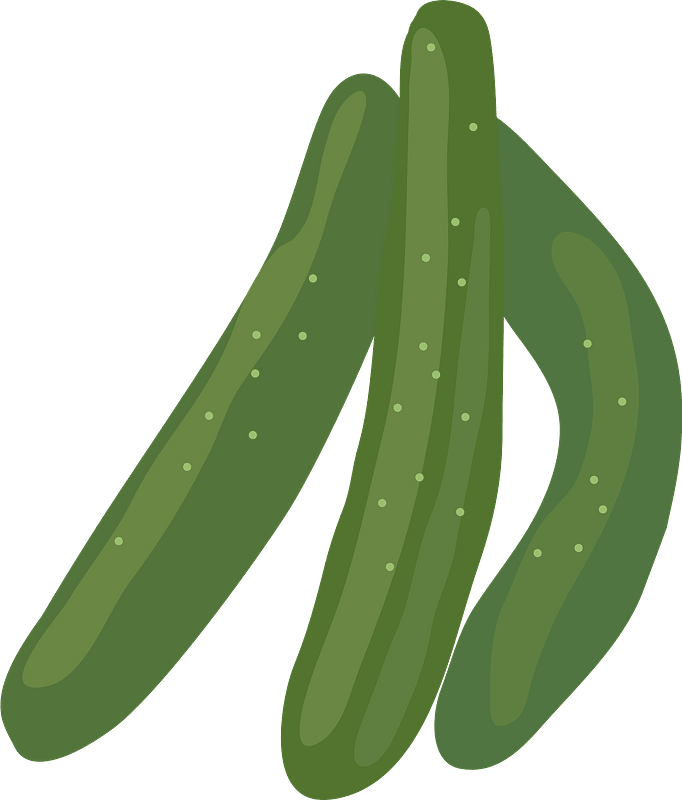 Cucumbers clipart. Free download transparent .PNG Creazilla