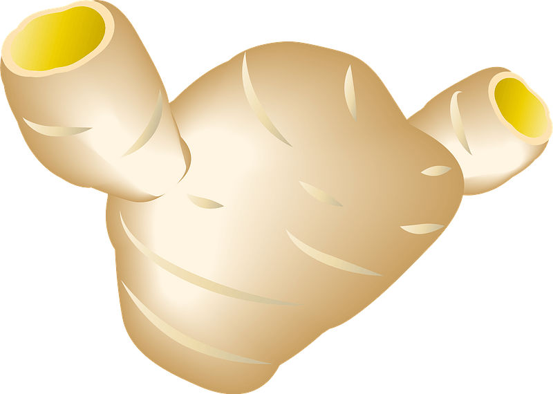 Ginger root clipart