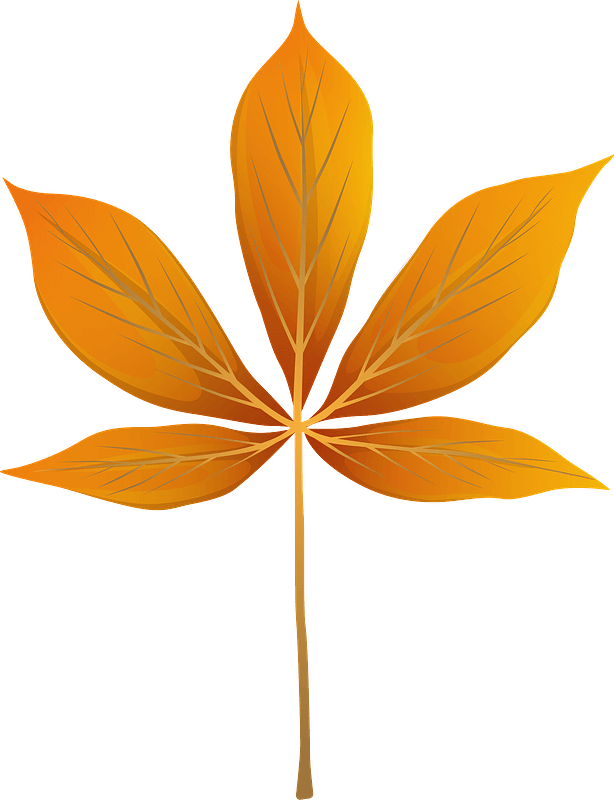Yellow buckeye autumn leaf clipart. Free download transparent .PNG