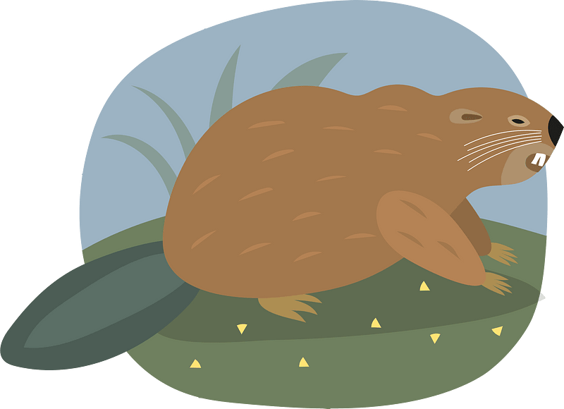 Beaver clipart. Free download transparent .PNG Creazilla