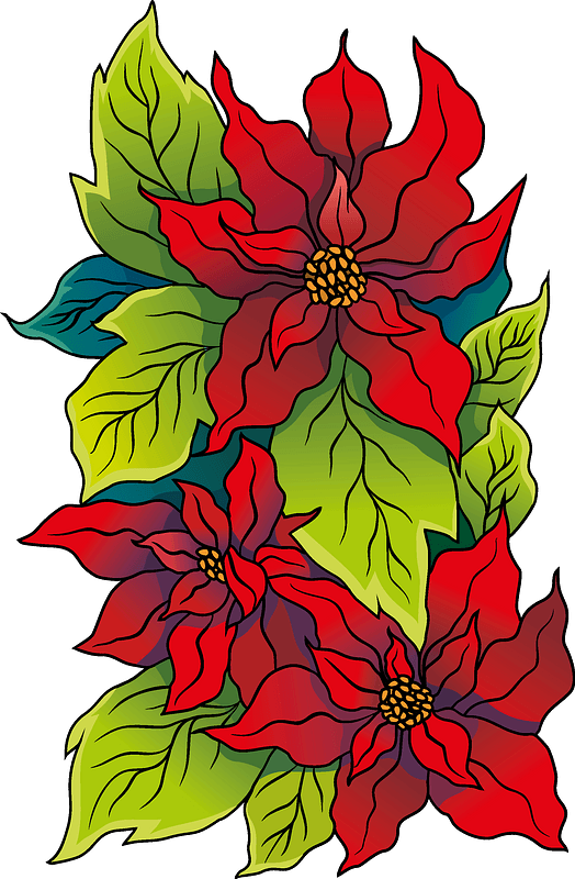 Euphorbia pulcherrima immagine clipart