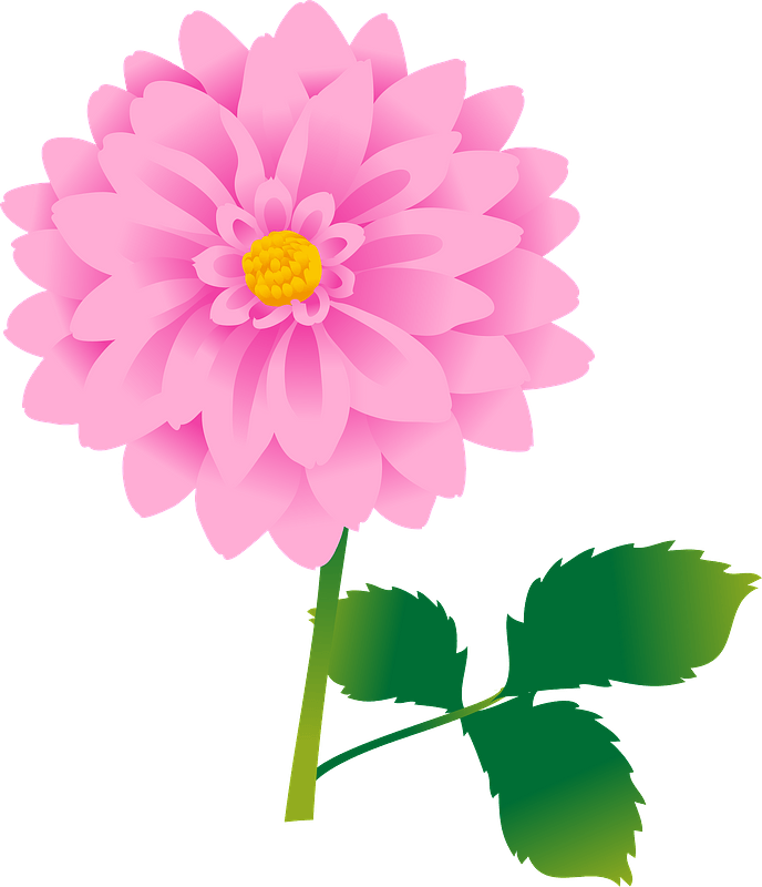 Dahlia flower clipart. Free download transparent .PNG Creazilla