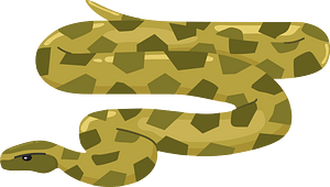 Burmese python clipart