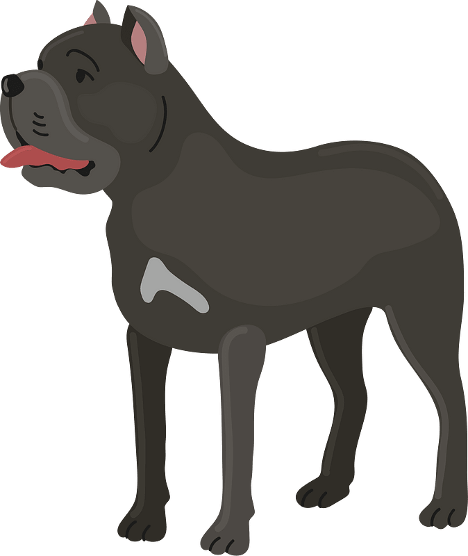 Cane corso clipart. Free download transparent .PNG Creazilla