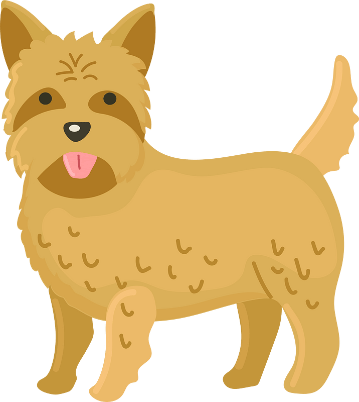 Cairn terrier clipart. Free download transparent .PNG Creazilla