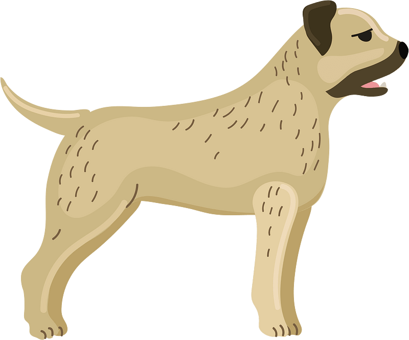 Border terrier clipart. Free download transparent .PNG Creazilla