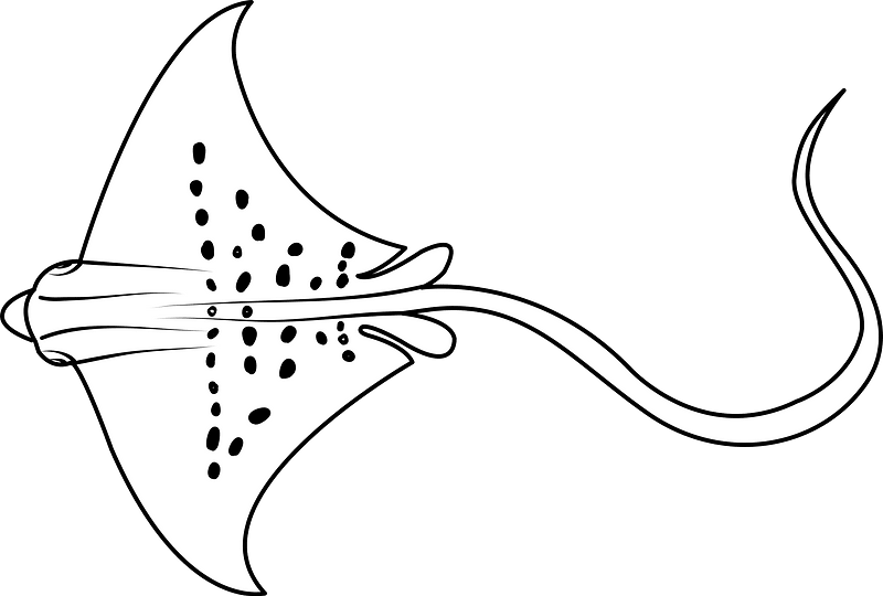 Spotted eagle ray (Aetobatus narinari)のクリップアート