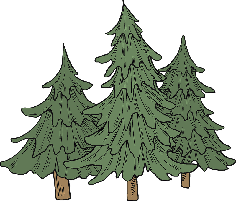 Evergreen Trees Clipart Free Download Transparent PNG Creazilla