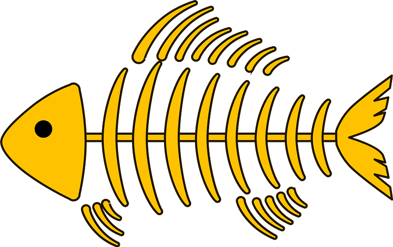 Fish fossil clipart. Free download transparent .PNG Creazilla