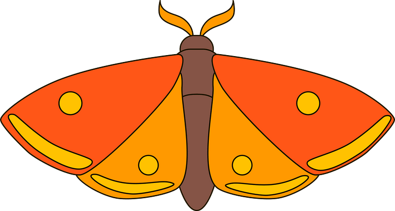 Moth clipart