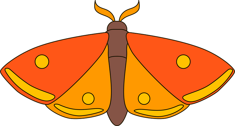 Mariposa clipart