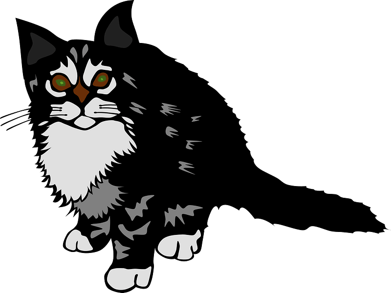 Black kitten clipart. Free download transparent .PNG Creazilla