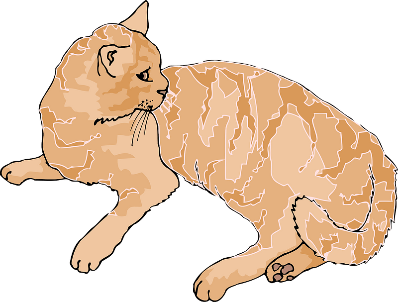 Ginger cat clipart. Free download transparent .PNG Creazilla