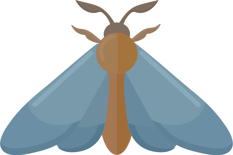 Mariposa clipart