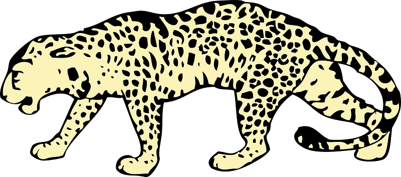 Leopard 클립 아트