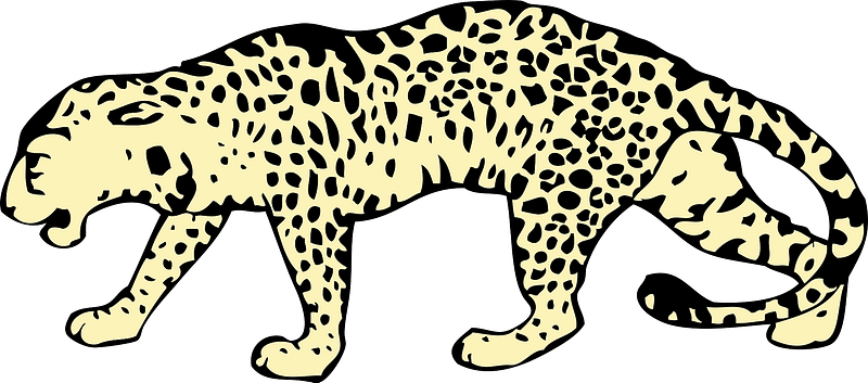 Leopardo immagine clipart