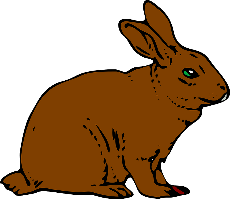 Brun hare clipart