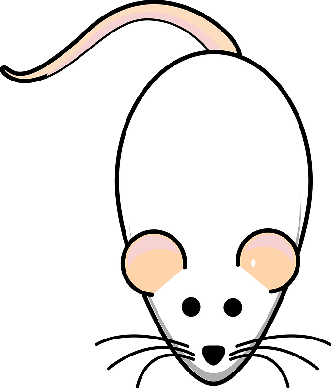 Cartoon white mouse clipart. Free download transparent .PNG | Creazilla