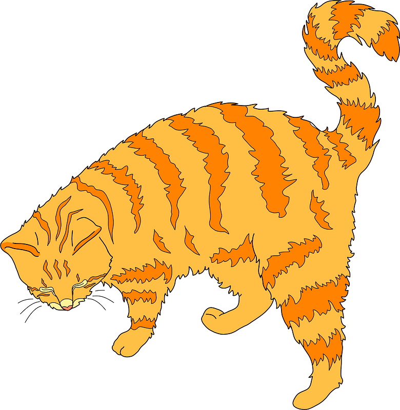 Ginger cat clipart. Free download transparent .PNG Creazilla