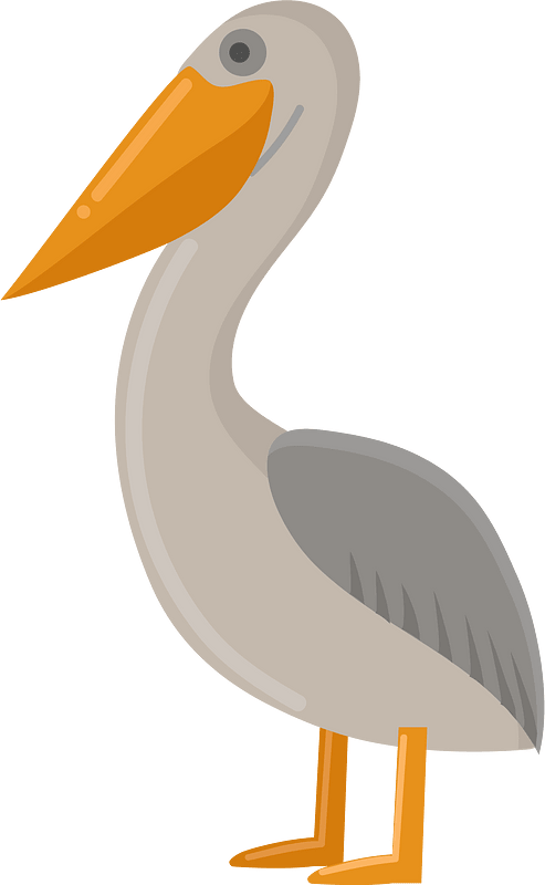 Pelican clipart. Free download transparent .PNG | Creazilla