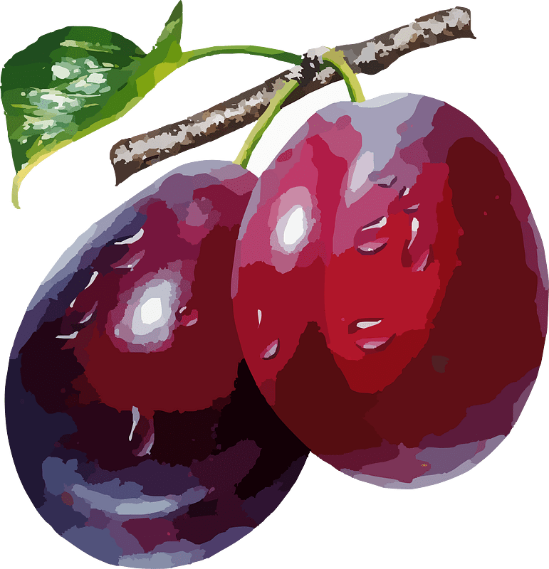Plums clipart. Free download transparent .PNG Creazilla