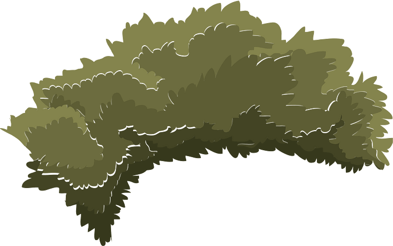 Green tree crown clipart. Free download transparent .PNG Creazilla