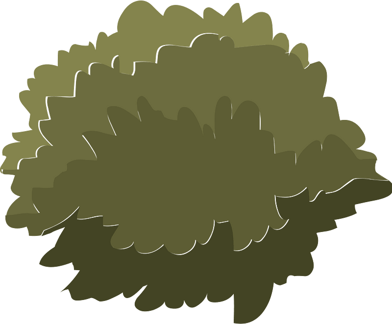 Green tree crown clipart. Free download transparent .PNG Creazilla
