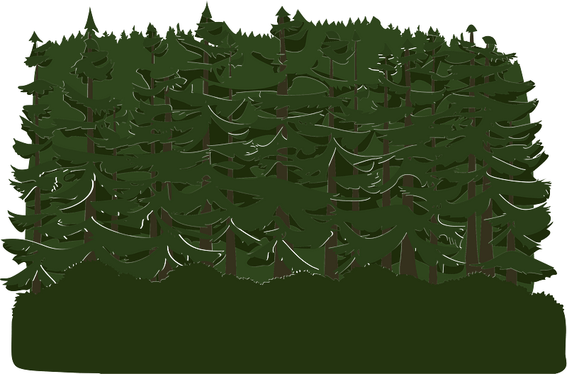 Green tree crown clipart. Free download transparent .PNG Creazilla