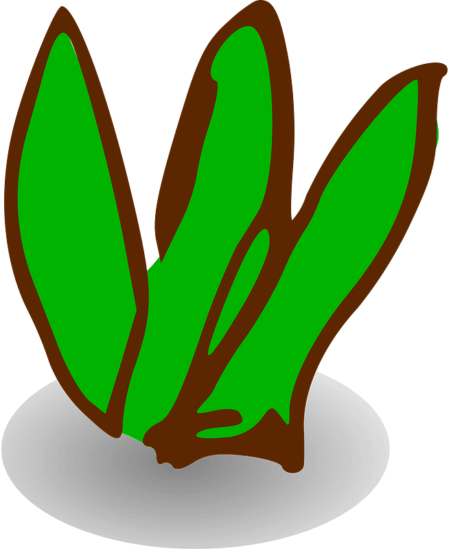 Green tree clipart. Free download transparent .PNG Creazilla