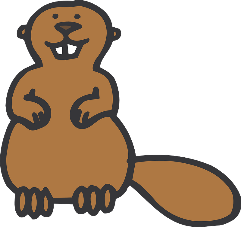 Drawn beaver clipart. Free download transparent .PNG Creazilla