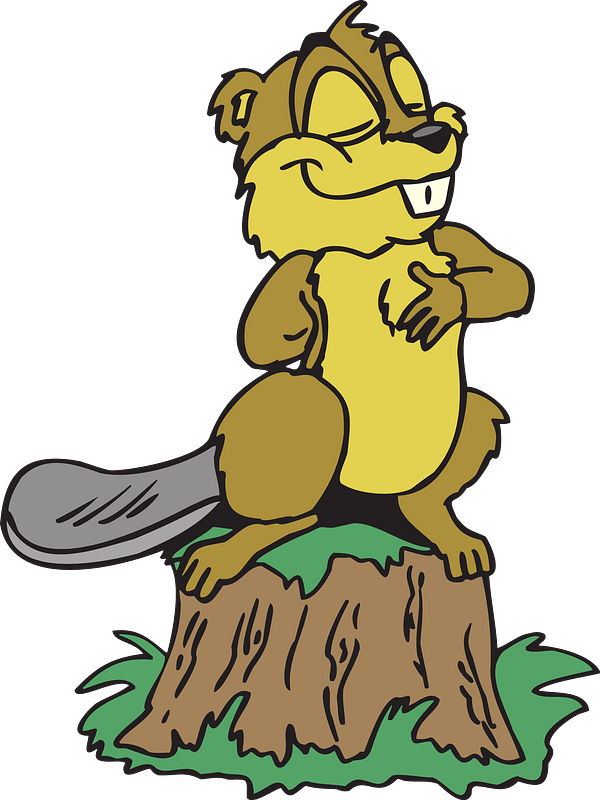 Posing beaver clipart