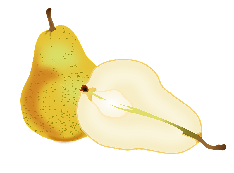 Pear clipart. Free download transparent .PNG Creazilla