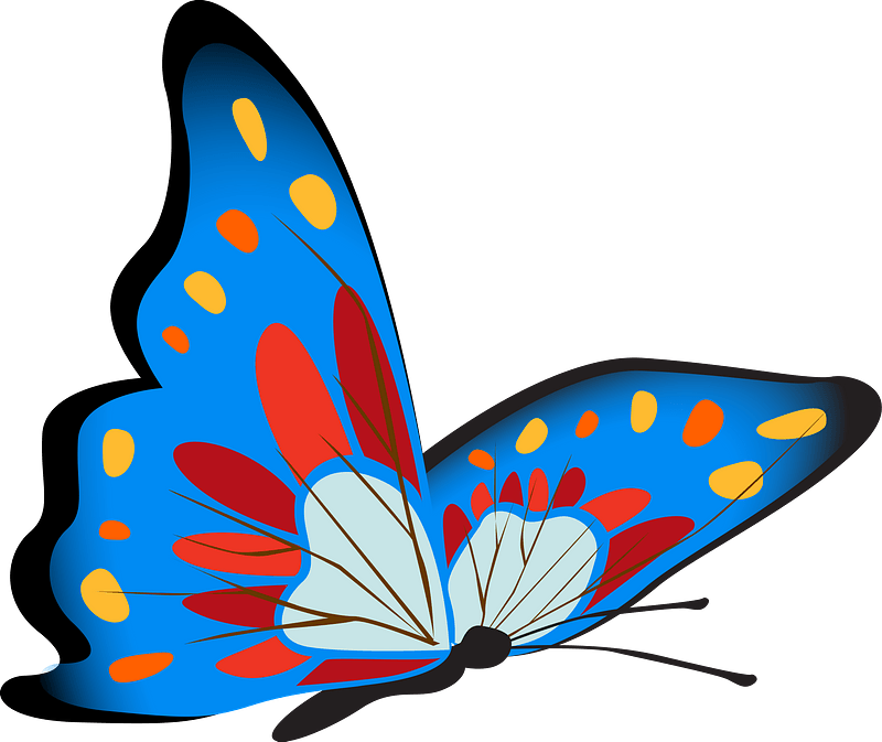 Blue butterfly clipart. Free download transparent .PNG Creazilla