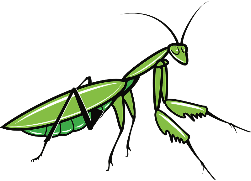 Mantis Religiosa clipart. Dibujos animados descargar gratis. | Creazilla