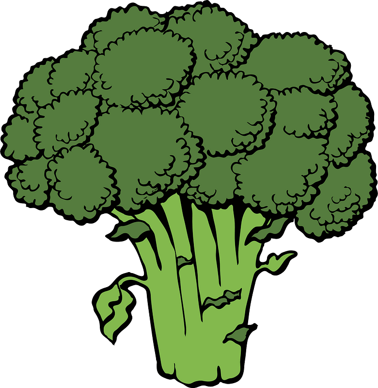 Broccoli clipart. Free download transparent .PNG Creazilla