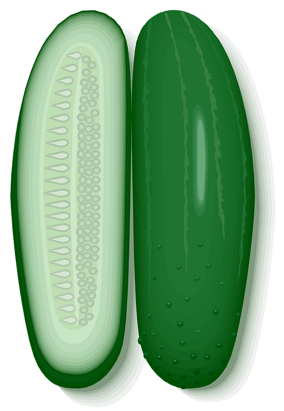 Cucumber clipart. Free download transparent .PNG Creazilla