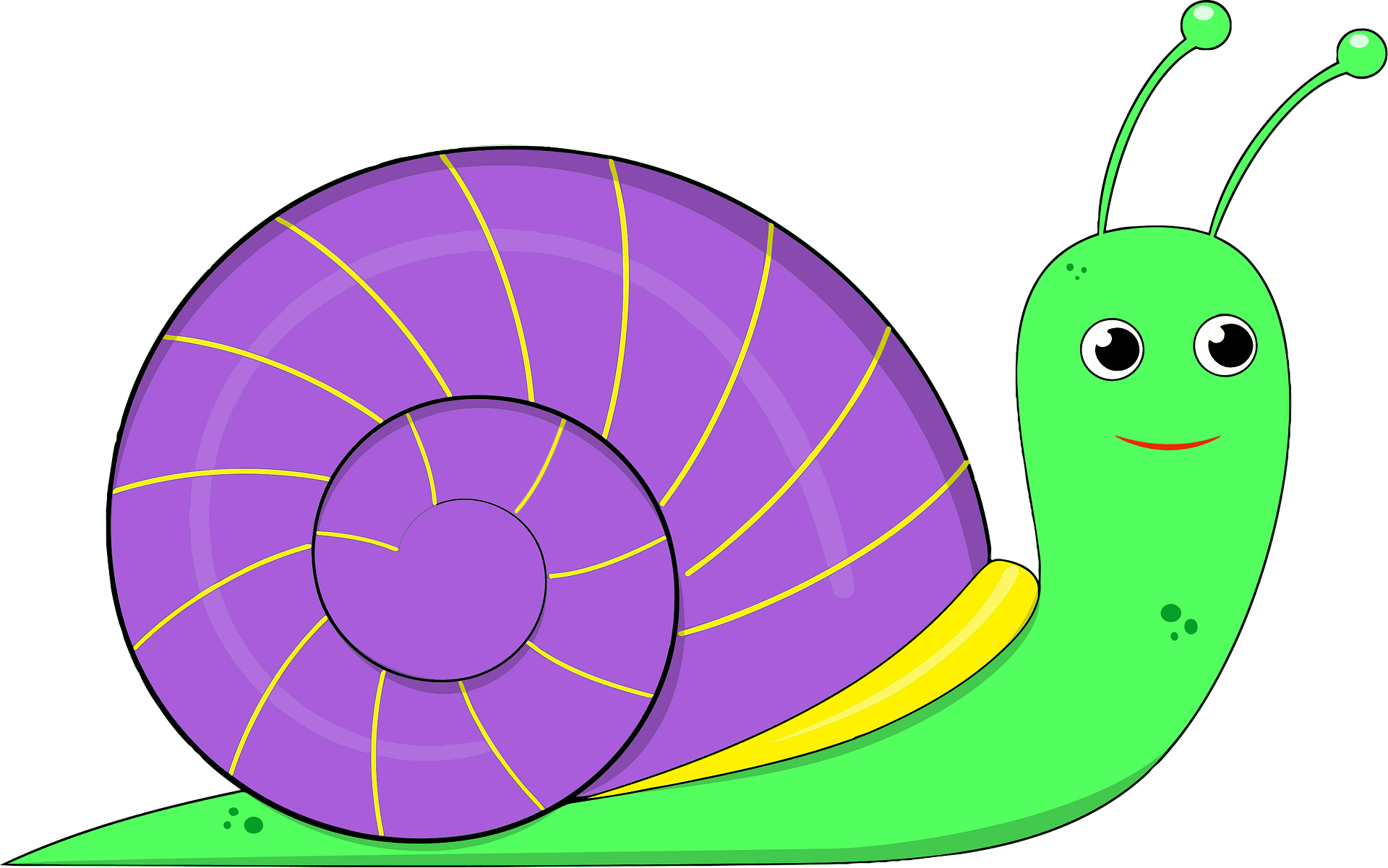 Sea Snail Clipart