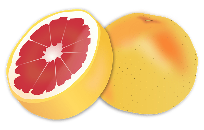 Grapefruit clipart. Free download transparent .PNG Creazilla